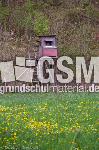 Hochstände (87 von 154).jpg